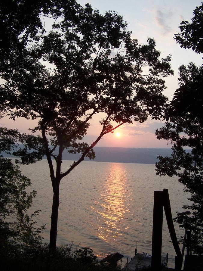 Sunrise Landing Bed And Breakfast Dundee Extérieur photo
